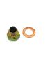 Preview: Magnetic oil drain plug M14X1.50 with sealing ring 723.93.20